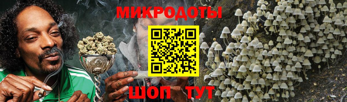 Псилоцибиновые грибы MAGIC MUSHROOMS  Псилоцибиновые грибы GOLDEN TEACHER  как найти наркотики  Вход с VPN  Тосно 
